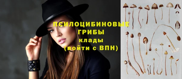 героин Алзамай