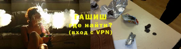 гашик Алексеевка
