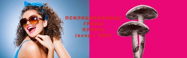 скорость Алексин