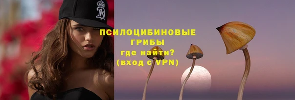 гашик Алексеевка