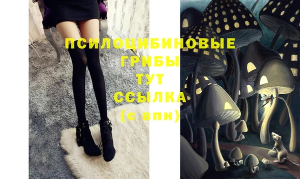 гашик Алексеевка