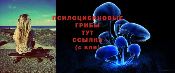 гашик Алексеевка