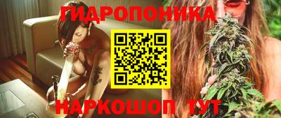 винт Сланцы