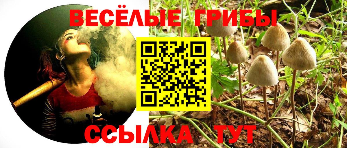 Галлюциногенные грибы MAGIC MUSHROOMS Солнечногорск