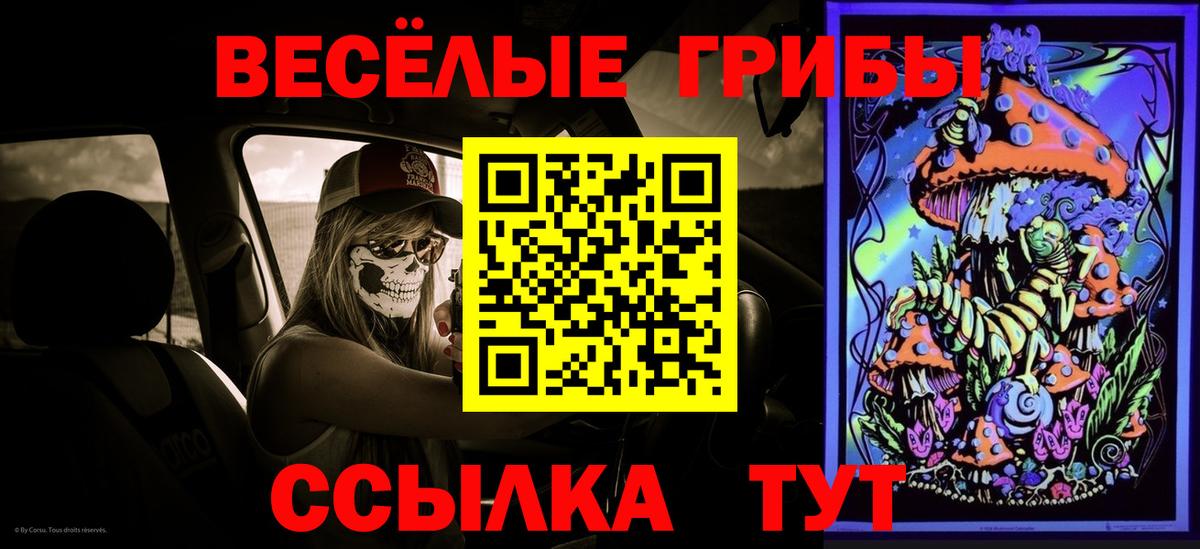Псилоцибиновые грибы Cubensis  Вход с VPN  Галлюциногенные грибы MAGIC MUSHROOMS  Солнечногорск 