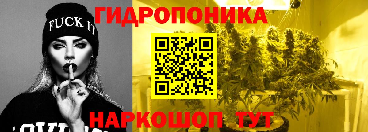 Солнечногорск  Каннабис план  МАРИХУАНА план  Вход с VPN 
